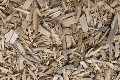 biomass boilers Cartmel Fell